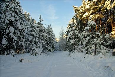 生存建造游戏《暗夜降临》新官方宣传片 2022年发售